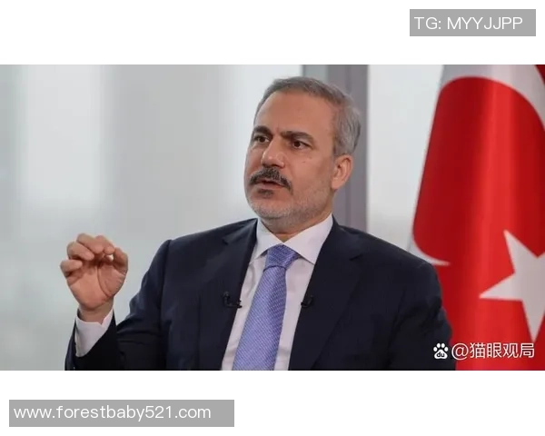 土耳其足球明星哈坎的辉煌历程与未来展望分析