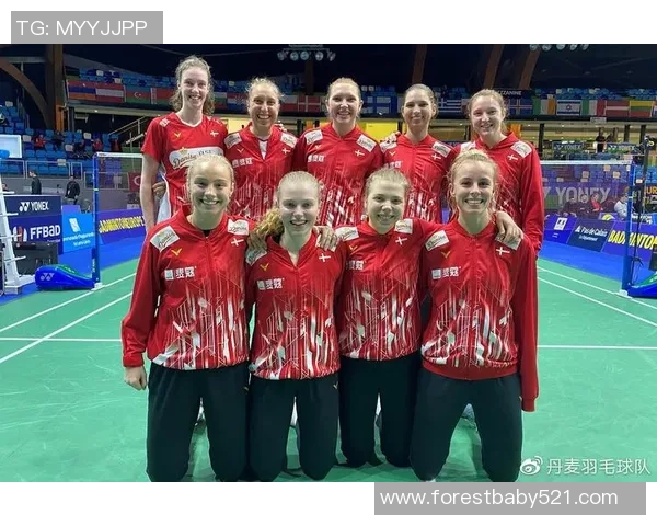 北京羽毛球队在欧锦赛中的状态分析与表现评估