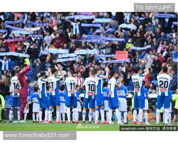 广州排球队的华丽转身与未来展望全景解析